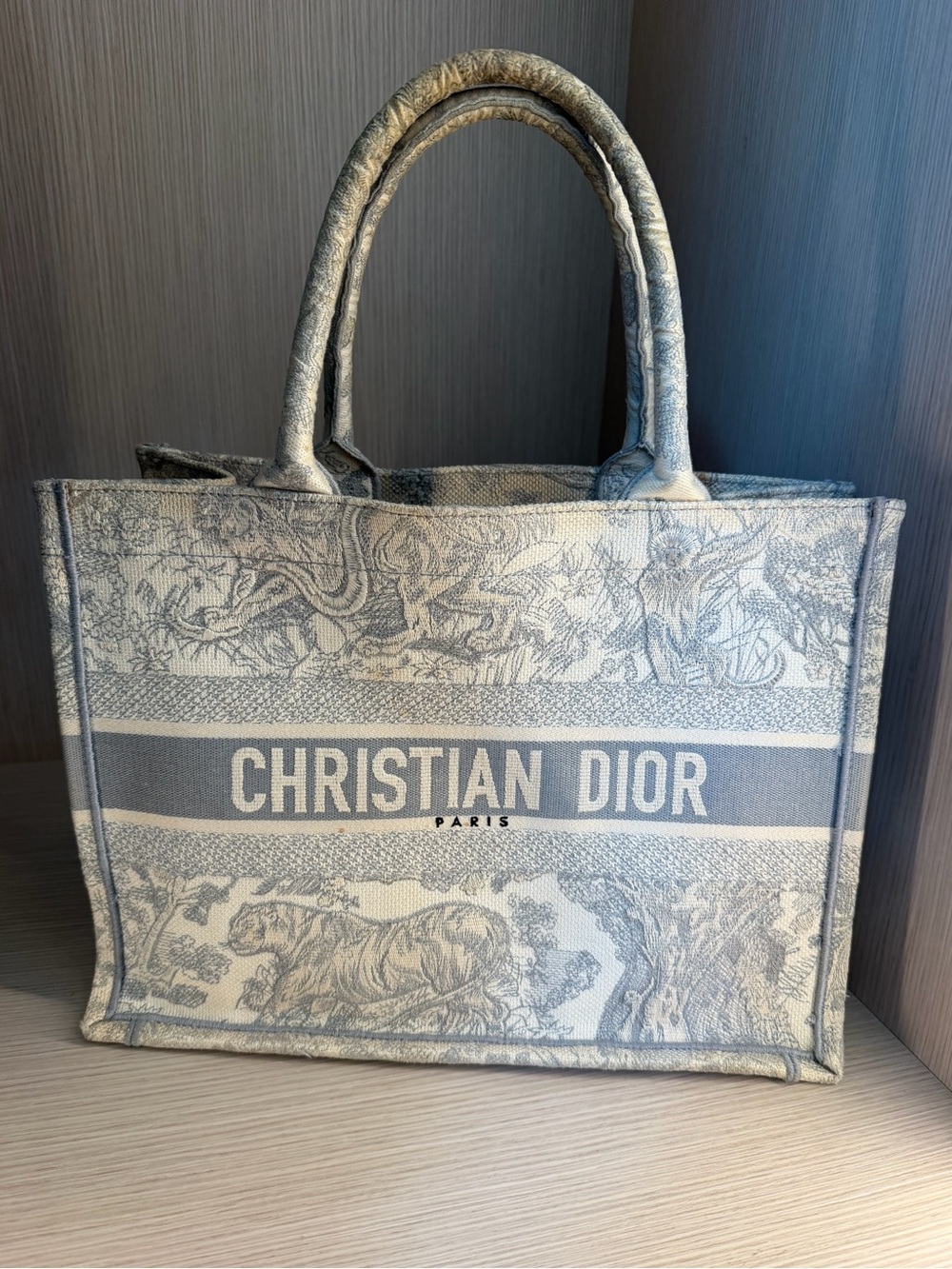 Christian Dior Book Tote in Light Gray and Cream.